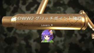【注意】CoDWW2のグリッチポイントを確認！