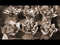 世界に一つだけの花 SMAP