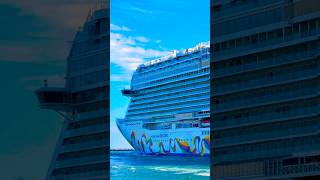 Norwegian Encore 🛳️ #travel #cruiseship #cruise #vacation #shorts #short #sea #ytshorts #yt #luxury