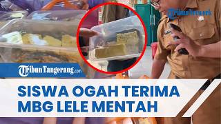 Siswa SMAN 2 Pamekasan Tolak MBG Lele Mentah Berbau Amis, Sekolah Kembalikan 1.022 Porsi