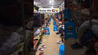 Download lagu sobha company camp room Dubai 🇦🇪 #sobha #indainshorts #indiajobsstation #jobs mp3