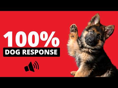 20 DOG SOUNDS To Make Them Listen 🐶 (Must Watch!)