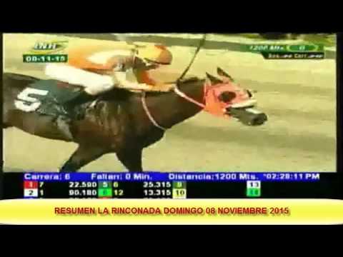 RESUMEN LA RINCONADA DOMINGO 08 NOVIEMBRE 2015