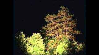 Department Of Eagles - Therapy Car Noise