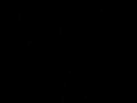 len faki @ stug paard 2