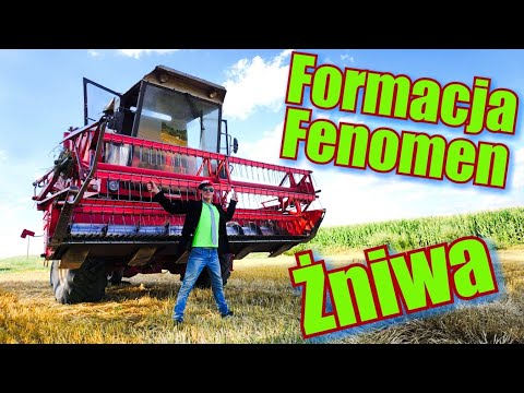 , title : 'Formacja Fenomen- Żniwa 2021 (Galibri & Mavik - Федерико Феллини_ Parodia)'