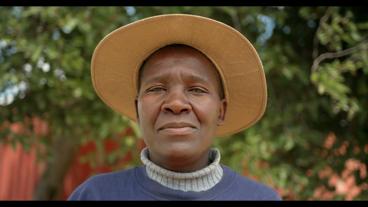 The friendship bench