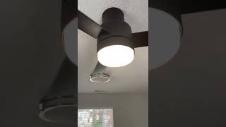 (Honest Review) Hunter Fan Company Ceiling Fan