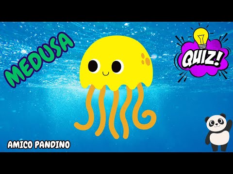 Animali per bambini - LA MEDUSA - Impara gli animali con Pandino - quiz animali - MOLLUSCHI