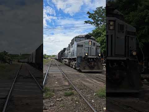 Trem de Grãos da rumo passando por Catanduva-SP,Levando 134 Vagões com destino ao porto de Santos