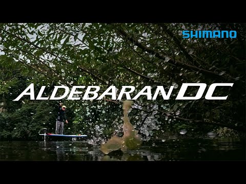 Multiplicator Shimano Aldebaran DC 31-HG Left