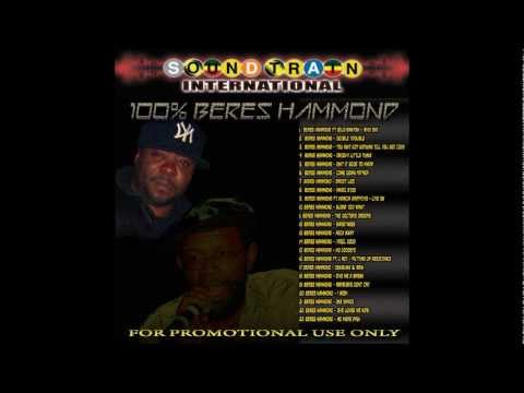 DJ FREEZE - SOUND TRAIN INTERNATIONAL - 100% BERES HAMMOND 2012