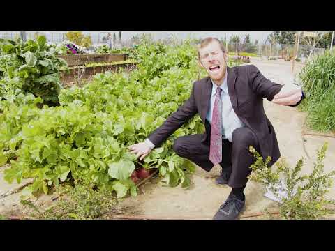 Terumot and Ma'aserot | Separation in Advance | Garden of Mitzvot