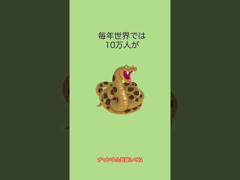 ヘビに対して漂白剤を使用する:「はい」または「いいえ」?  庭園