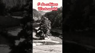O du schöner Westerwald #marschlied #soldatenlied #bundeswehr #volkslied