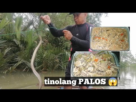 Halang-halang at tinolang "PALOS" (ogdok)