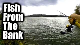 Fish You Might Catch From The Bank In EARLY SPRING