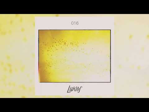 LUKINS RADIO 016  - Martin Waslewski's Birb Seeds Mix