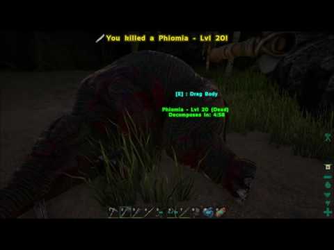 How to kill a Phiomia - Ark Survival Evolved