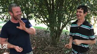 Miniatura do vídeo