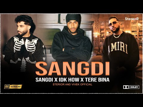 Sangdi X Idk How X Tere Bina | StereoR | Karan Aujla | Sukha | Tegi Pannu | Mashup