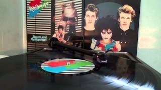 Siouxsie and the Banshees - Lunar Camel - Vinyl - at440mla - Kaleidoscope