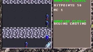 Let's Play The Dark Queen Of Krynn Part 023