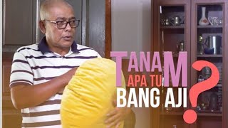 Download lagu Telefilem Tanam Apa Tu Bang Aji | Telemovie Malaysia Terbaru 2022 [ FULL MOVIE HD ] mp3
