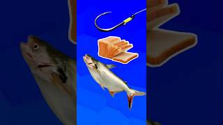 Download lagu Cara Memasang Umpan Mancing Ikan Patin #shorts #fishing #tutorial mp3 Download lagu Cara Memasang Umpan Mancing Ikan Patin #shorts #fishing #tutorial mp3