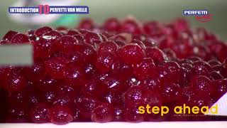 Perfetti Van Melle India Private Limited Factory tour