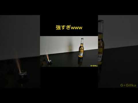 GIF でクリスマス: 無料で面白い 3 つの方法