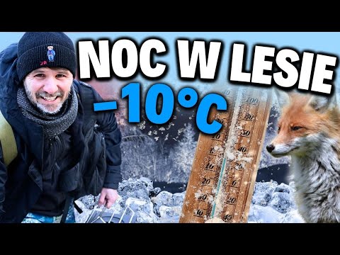 SAM W NOCY W LESIE PRZY -10 C - JAK ZBUDOWAŁEM SZAŁAS DO PRZETRWANIA?!
