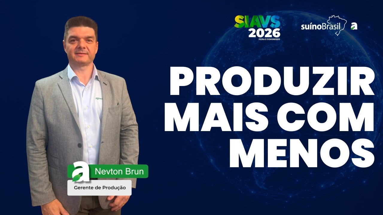 De 5 anos para 2: como a genética está acelerando a suinocultura brasileira
