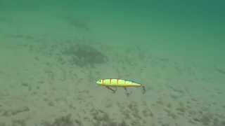 Strike pro - alpha minnow