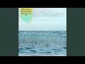Single Bird Sound