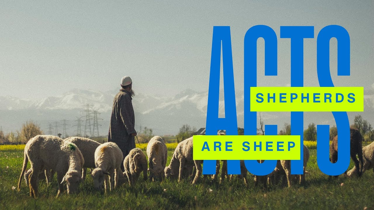 Shepherds are Sheep first - Acts 20:17-38