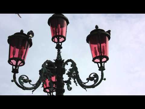 Max Freytag - Dresden