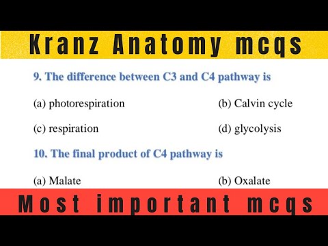 Kranz anatomy| PPSC biology| mcq C4 cycle| neet 2024