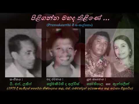 Piliganna Mahada Thiline - පිළිගන්න මහද තිළිණේ HR Jothipala+Anjaleen G- Premakeerthi- TF Lateef