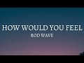 Rod Wave How Would You Feel Lyrics