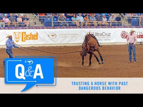 Trusting a Horse With Past Dangerous Behavior - Q&A