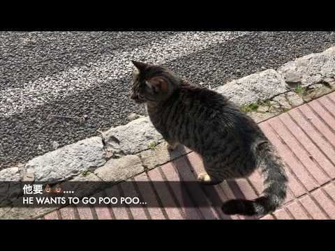 2. Day in Mallorca - Sóller