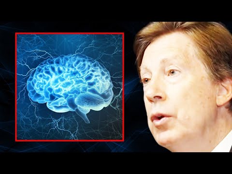 The TOP SUPPLEMENTS to Keep Your Brain Sharp | Dr. Dale Bredesen