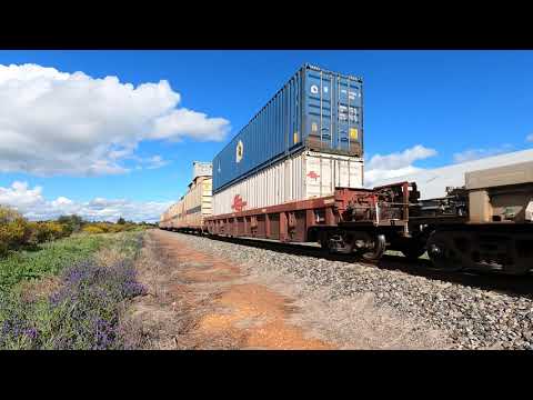 CSR004 at Ootha NSW.  Wed 13th Oct 2021