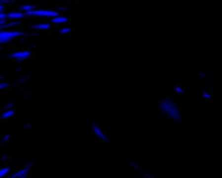 krill.minima - nautica