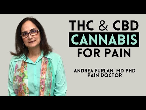 Cannabinoids and Cannabis by Dr. Andre Furlan MD PhD
