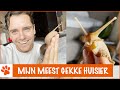 Ontmoet Alfons de reuzenslak! | DierenpraatTV