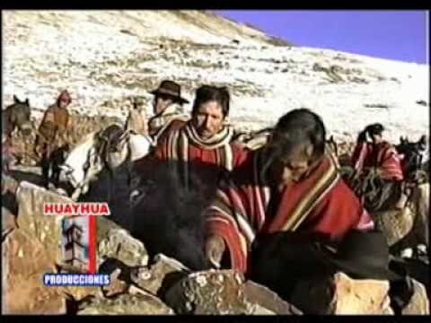 CORAZON GRAUINO   SALIDA DELGANADO  (CACHARPARY)