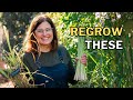 How to Grow Lemongrass (Regrow Store Stalks, Harvest, Divide)