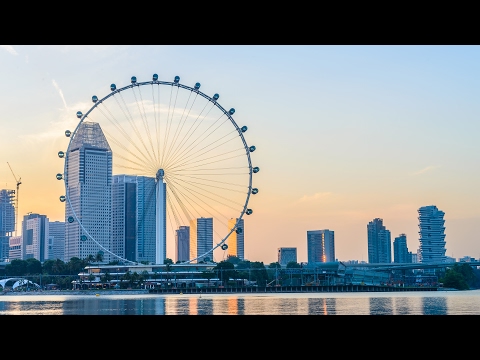 準備到新加坡遊玩嗎？這些在新加坡一定要做的事千萬別錯過！ (Singapore Top Things To Do | Viator Travel Guide)